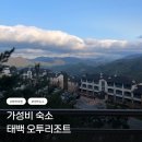 CU 태백고원점 | 🏠[태백 숙소 추천] 가성비 좋은 오투리조트 후기! 조식 포함 12만원대라니?