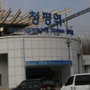 청평얼음꽃 송어축제 / 2019년 1월 12일. 이미지