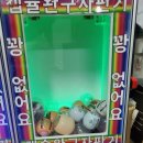 뽀뽑기 이미지