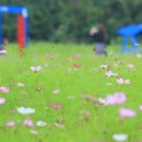 코스모스메디칼 이미지