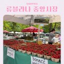 낭만과일농산물 | 슬로베니아 여행 류블랴나 중앙시장 추천 상품