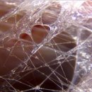 시퀀스무브먼트 이미지