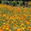 백로농장 네이버블로그