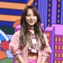 양이펀치 이미지