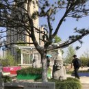 정원연회장 이미지