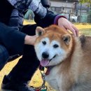 광희동물병원 이미지