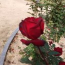 유엔조각공원 이미지