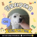 쁘띠메리 이미지