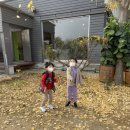 세준농장 이미지