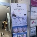 레푸스증포