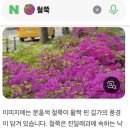내집엔 - 달성군 농공공단길 21 | 내집엔