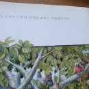 소중 문화사 이미지