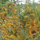 고흥군상하수도사업소 이미지