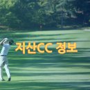 양지 골프연습장 | 서울 근교 명품 골프 천국, 지산컨트리클럽 완벽 가이드