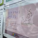 행정용 22번 | [임신일기#6] 임신중기 18~20주차: 2차 기형아 검사 고위험군, 피 말리던 니프티(NIPT) 결과대기