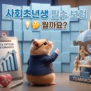 사회초년생 필수 보험, 2026 완벽 가이드: 똑똑한 가입 전략 5가지 💡