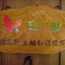 동백관 이미지
