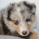 전주기독병원 이미지