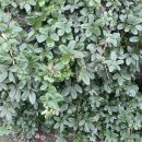 추사로55번길 이미지