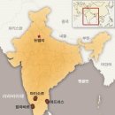 책속의커피