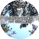 장삼포민박 | 운여 해수욕장 근처 체험해본 숙박 총정리 해봅니다!!