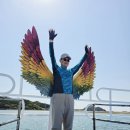 ❇️군산, 신시도 제145회 기획산행 1박2일 이미지