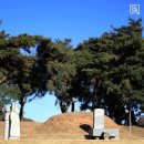 이여발묘 이미지