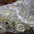 무주읍249 이미지