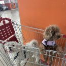 어느날스파펜션 이미지