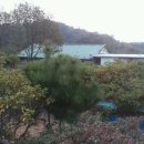 사곡리농장 이미지