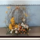 단아하개 이미지