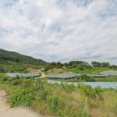학산리농장 네이버블로그