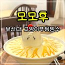 코타츠 - 안성시 중앙로 274-26 | 부산대 모모후 고양이푸딩빙수 후기 코타츠 카페