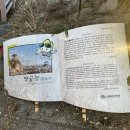 바다풍경 | 겨울 속초 가볼만한곳 여행 코스 추천 영금정 해돋이정자 바다 풍경 후기