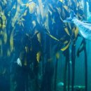 해조수산 이미지