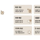 경희아양한의원 이미지