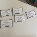 소노캄 델피노 A . B 이미지