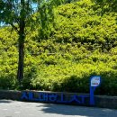 수원-0931 | 가벼운 산책하기에 이만한 곳 없지, 수원 광교 신대 호수 (주차, 산책 코스)