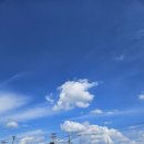 다슬횟집 이미지