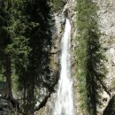 신강목장 이미지