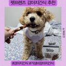 프렌즈독 | 강아지간식 가성비끝판왕 펫프렌즈 내돈내산후기, 추천코드도 있어요