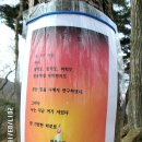 매암산 등산로 티스토리