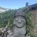 빈도롱이가 이미지