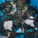 재실농장 이미지