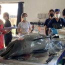 신용수산 이미지