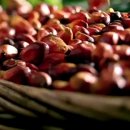 오일농장 이미지