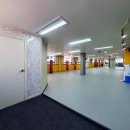 베스트세심태권도 이미지