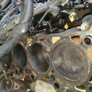 토마토모터스 이미지