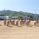 아포초등학교 이미지