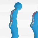 우리정형외과 이미지